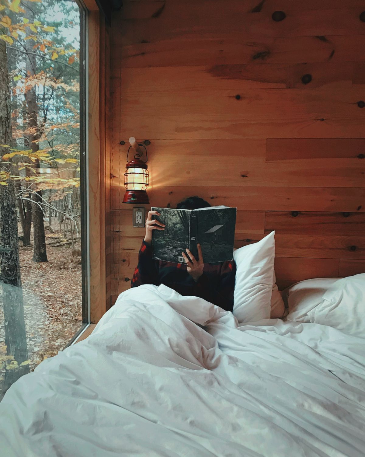 Winter brushed flannel bedsheet